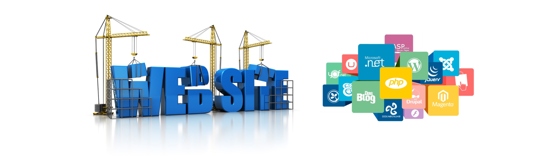 Website Designing & Development in Ahmedabad